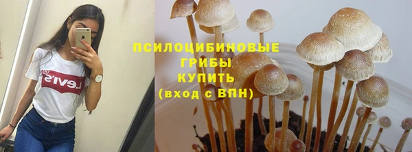 прущий лед Инта